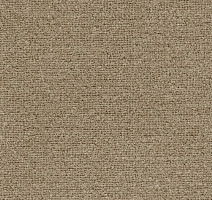 Ковролин AW Masquerade Mezza 37 фото 1 | FLOORDEALER